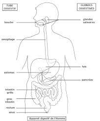 Quiz Sciences