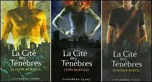 Combien y a-t-il de livres dans "La Cité des ténèbres" ?