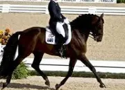 Quiz Les figures de dressage