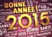 Quiz Bonne anne 2015 !