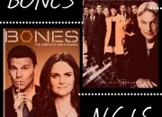 Quiz Bones ou NCIS ?