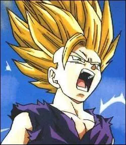 De quel manga le personnage Sangohan fait-il partie ?