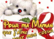 Quiz Qui est ma maman ? 3