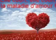 Quiz Elle court, elle court, la maladie d'amour !