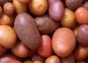 Quiz Fire d'tre une  patate 