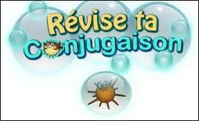 Conjugaison - Complétez correctement : "Je voudrais tellement trouver quelqu'un qui me . chaque fois que je lui dis une vérité le concernant."