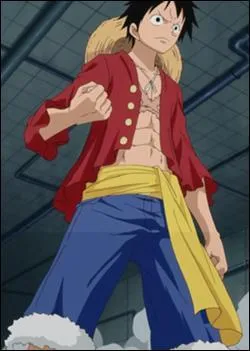 Quels fluides maîtrise Monkey D. Luffy ?