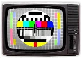 Bonjour chère télévision ! Merci d'avoir eu l'obligeance de m'accorder cet entretien. Que pourriez-vous nous dire de vos origines ?