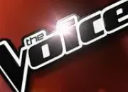 Quiz The Voice