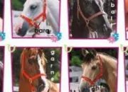 Quiz La robe des diffrents chevaux de 'Grand Galop'