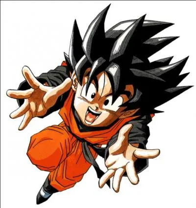 Qui est ce personnage de Dragon ball Z ?