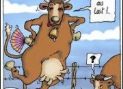 Quiz Les pays dans les expressions images