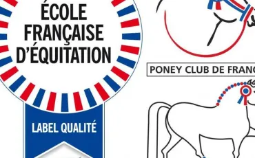 Quiz Equitation