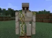 Quiz Minecraft - Les golems