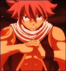 Quiz Fairy tail