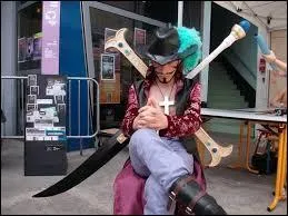 Quel est ce cosplay ?