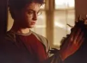 Quiz Harry Potter et le prisonnier d'Azkaban (Chapitre 4)