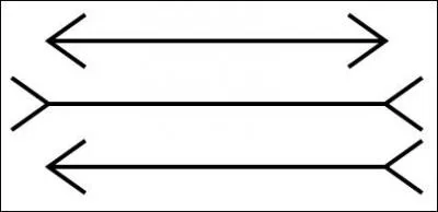 Quel est le nom de cette illusion d'optique qui vous fait croire à trois flèches de longueurs différentes ?