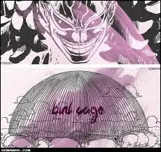 Quelle est la forme des lunettes de Doflamingo ?