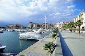 Un couple a passé ses vacances à Argelès-sur-Mer. Ils se trouvaient dans le Languedoc-Roussillon, dans le département ...