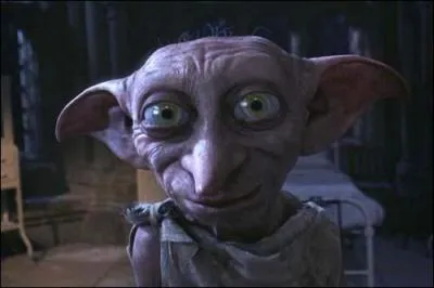 Dans le livre, on décrit les yeux de Dobby gros comme :