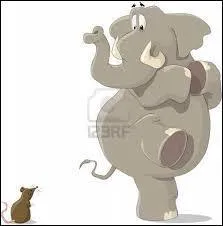 Les éléphants ont-ils peur des souris.