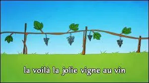 « De vigne en feuille... 
De feuille en grappe... 
De grappe en cueille... 
De cueille en hotte... 
De hotte en presse... ».
Quel est le titre de cette chanson à boire ?