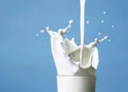 Quiz Vrai ou faux : le lait