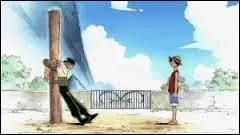 Au début de l'épisode 3, qu'est-ce que Luffy a confirmé à Zoro ?