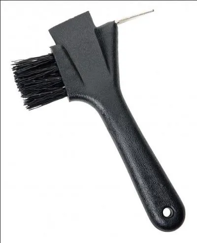 Quelle est cette brosse ?