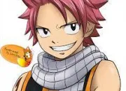 Quiz Fairy Tail