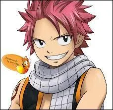 Qui est le compagnon de Natsu ?