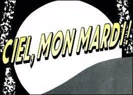 Pendant combien d'années l'émission "Ciel, mon mardi" a-t-elle existé ?