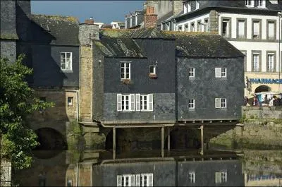 Pont ''habité'' de 67m de long sur l'Elorn, construit en 1336 à Landerneau dans le Finistère, son nom est :