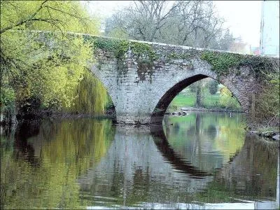 Ce pont de 22 mètres de long, du XVe siècle, sur le Moine à Clisson-sur-Loire dans le département de la Loire-Atlantique a pour nom :