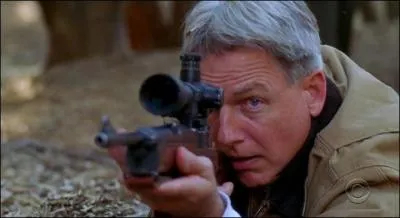 Pourquoi Leroy Jethro Gibbs tue-t-il une personne ?