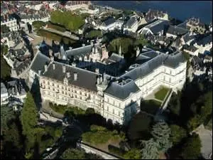 Dans quelle ville de plus de 49 000 habitants, située en Loir-et-Cher, visiterez-vous ce château ?