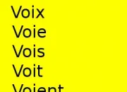 Quiz Voix, voie, vois, voit, voient, voies