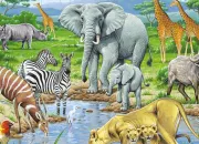 Quiz Les animaux de la savane