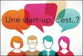 Le pluriel du mot "start-up" est ...