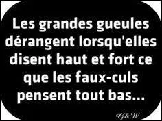 Lequel de ces termes n'est pas un synonyme de "faux-cul" ?