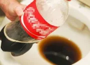 Quiz Un Coca, sinon n'importe quoi d'autre