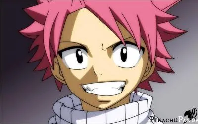 Quel est le nom de famille de Natsu ?