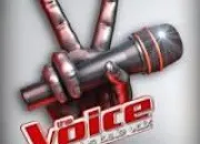 Quiz The Voice