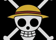 Quiz One Piece : qui suis-je ?