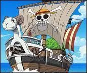 Qui a dessiné l'emblème de Luffy sur la grande voile et sur le drapeau du Vogue Merry ?