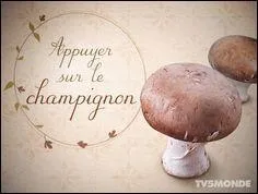 Que veut dire cette expression : "Appuyer sur le champignon" ?