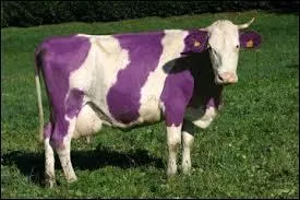 Quelle marque a pour logo une vache violette et blanche ?