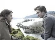 Quiz 'Twilight' : Fascination