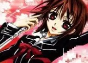 Quiz Vampire Knight